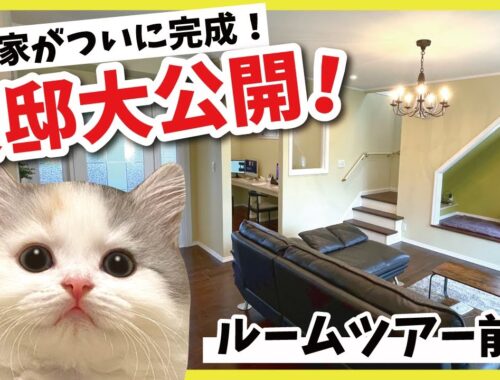猫のために作ったとんでもない豪邸のルームツアー【前編】【関西弁でしゃべる猫】