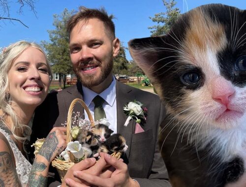 The Cutest Surprise at Our Animal-Friendly Wedding!