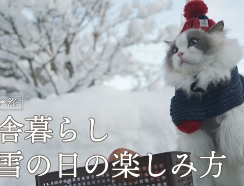 【田舎暮らし】大雪の日でも楽しみを見出す猫｜ラグドール猫 #96
