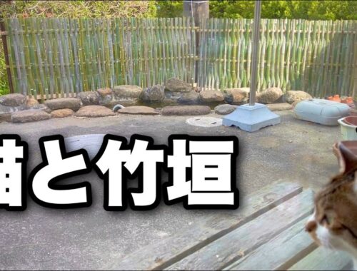 【大津垣 DIY】道路から家の中や洗濯物が丸見え！猫に見られながら池の周りに竹垣を作ったら、日本庭園のようになりました。