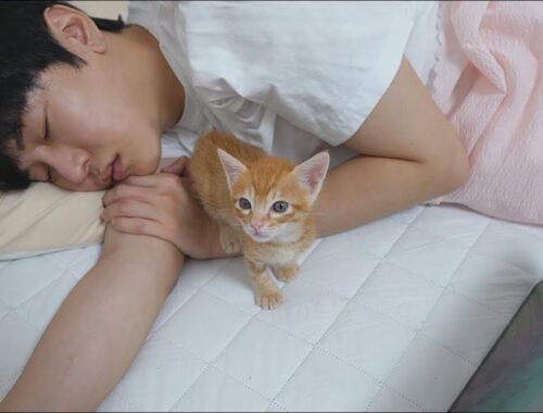 What is the Kitten Doing While the Owner is Sleeping?
