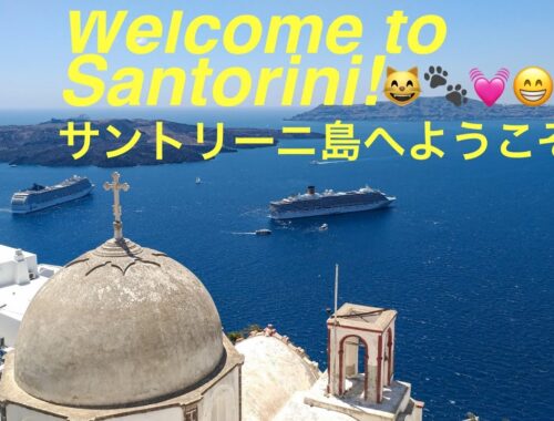 ギリシャ・サントリーニ島 へようこそ！Welcome to Santorini, Greece！😸💓🐾