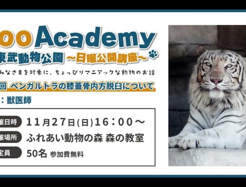 Zoo Academy ＠東武動物公園　第2回ベンガルトラの膝蓋骨内方脱臼について