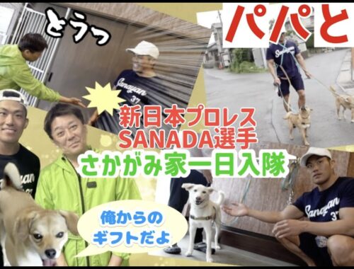 パパとチャンピオン〜新日本プロレスのSANADA選手1日お世話体験〜