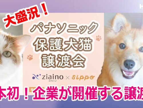 日本最大級！🐶パナソニック保護犬猫譲渡会🐱大手企業が開催する譲渡会は日本初！著名愛護家も応援に駆けつけた♪