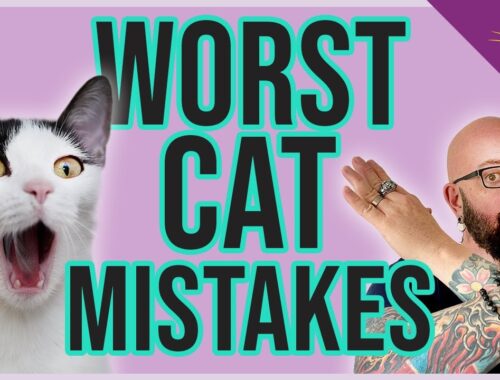WORST Mistakes You Make with Your Cat