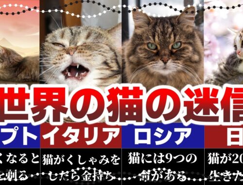 一方、日本は？猫好きなら知っておきたい世界11ヶ国の猫の迷信