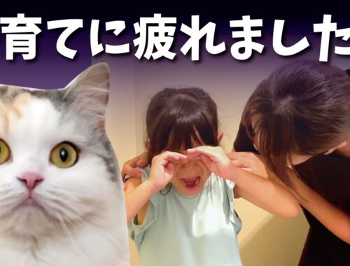 娘とケンカばかりで育児に疲れきった奥さんを助けてください…【関西弁でしゃべる猫】