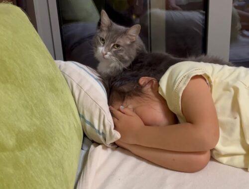 発熱した子供には必ず寄り添ってくれる猫　ノルウェージャンフォレストキャット　A cat snuggling up to a child with a fever