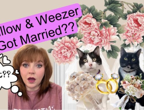 Willow and Weezer married each other? Oh My!!!!