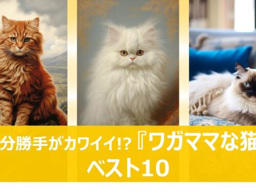 【人気の猫】自分勝手がカワイイ!? ワガママな猫ベスト10