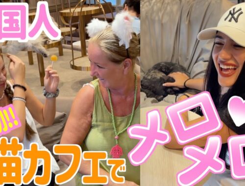 猫好き外国人、人生初日本の猫カフェに大感動！！
