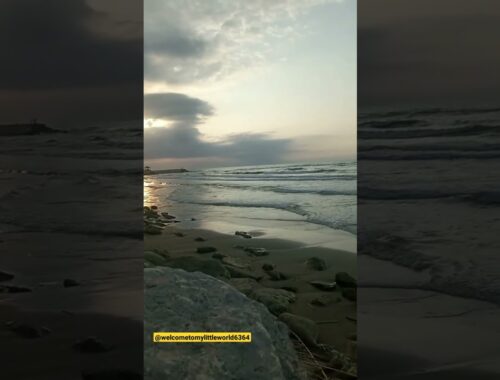 A cozy and special corner of the Caspian Sea #iran#reels #viral