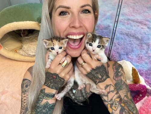 Get Ready with Me as I Meet My New Foster Kittens!