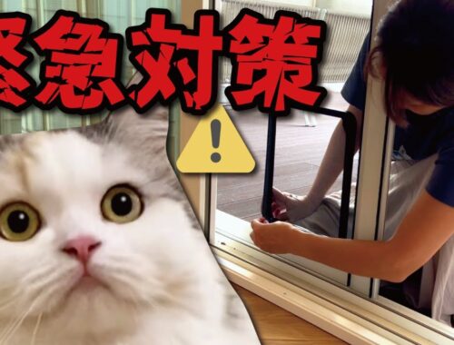 猫たちが自由に外に出れるドアを取り付けたらまさかの展開に…！【関西弁でしゃべる猫】【猫アテレコ】 【猫アテレコ】
