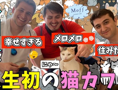 初来日で外国人が猫カフェに大感動！念願の日本はまだ2日目！【海外の反応】