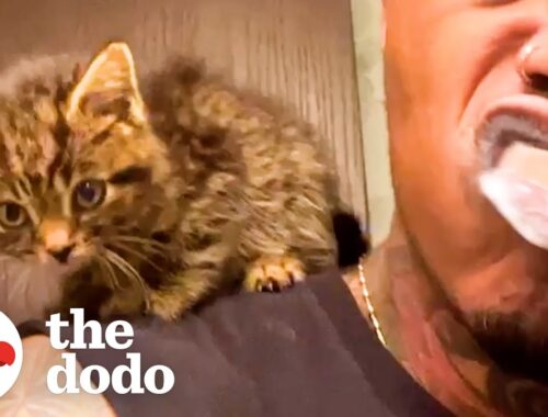 Guy Who Has Never Had A Pet Rescues A Kitten | The Dodo