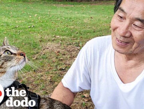 Dad Who Swore He Wasn't A Cat Person Fosters 75 Kittens | The Dodo