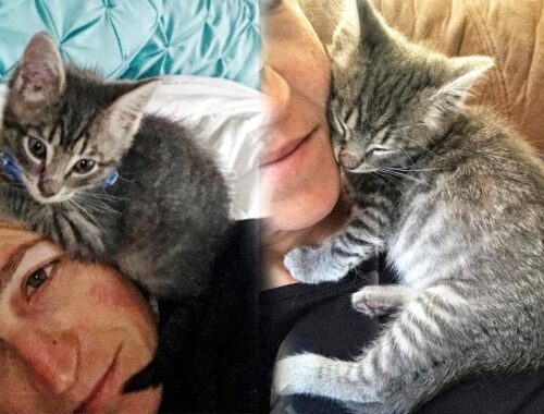 Woman Saves Stray Kitten From Snowstorm And He Won't Stop Cuddling Her