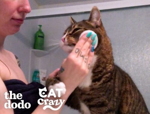 Cat Is VERY Involved In His Mom's Daily Routine | The Dodo