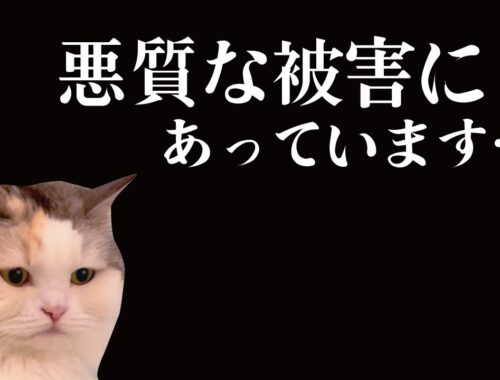 本当に悲しくなるのでやめてください…【関西弁でしゃべる猫】【猫アテレコ】