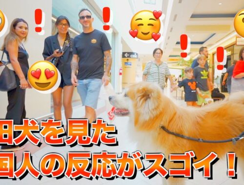 It was so funny how the Italians reacted when we went to a shopping mall with an Akita dog♪