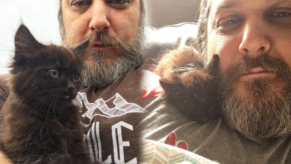Tiny Stray Kitten Chooses a Big Bearded Man And Adopts Him Tiny Stray Kitten Chooses a Big Bearded Man And Adopts Him