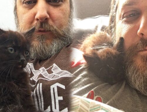 Tiny Stray Kitten Chooses a Big Bearded Man And Adopts Him