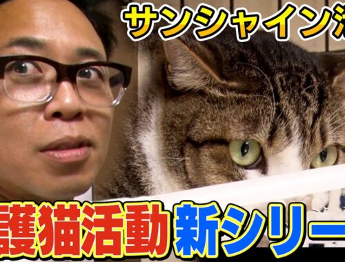 【保護猫活動】猫おじさん！遂に新シリーズ開幕！【サンシャイン池崎】