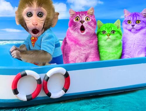 Monkey Baby Bon Bon Rescues Kittens and Swims with Ducklings in the Pool