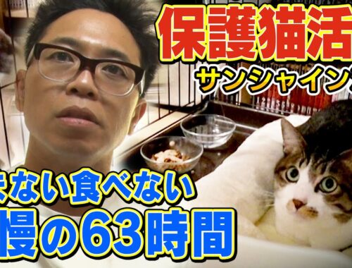 【サンシャイン池崎】家に来て３日以上飲まず食わずの保護猫佐吉が…【猫おじさん！遂に新シリーズ】