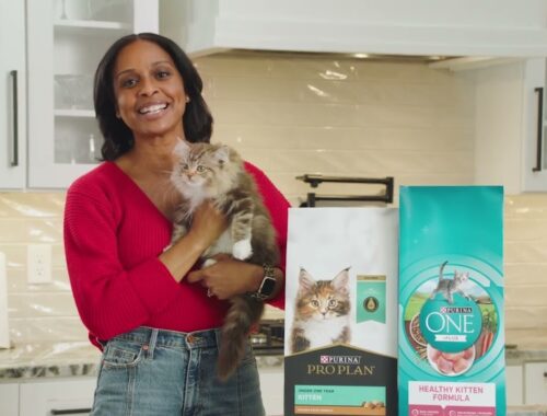 Purina Kitten Food, Providing a Lifetime of Healthy Nutrition