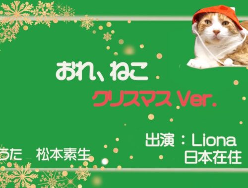 「おれ、ねこ」リオナ ✕ クリスマス eテレ  Hawaiian cat Liona