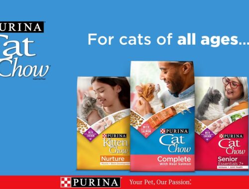 Purina Cat Chow for Cats of All Ages