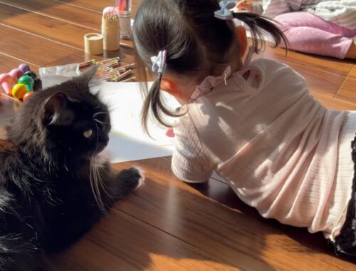 大晦日恒例、娘たちの創作活動を邪魔する猫　ラガマフィン　Cats interfering with children's creative activities