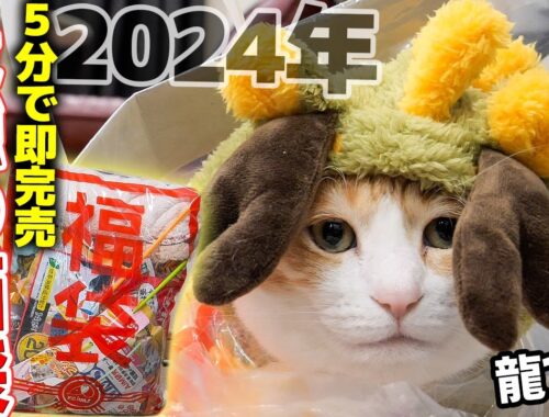 【猫袋】開店して5分で売り切れる最強の福袋を開封したら中身がすごすぎました…【2024年】