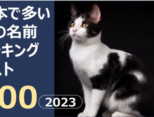 日本で多い猫の名前ランキングベスト100 2023版
