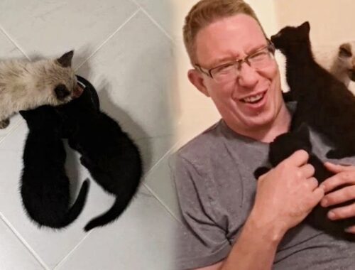Kittens Found In Woods Can't Stop Hugging Man Like It's Their Mom