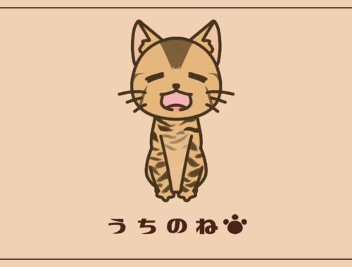 【ベンガル猫】ようこそわが家へ【お迎え初日】Kitten 1st day