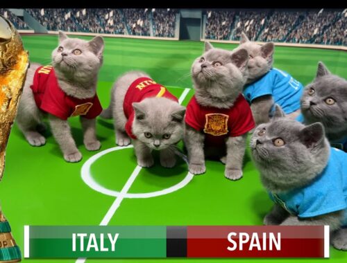 LETS UNLEASH CATS KITTENS WORLD CUP!