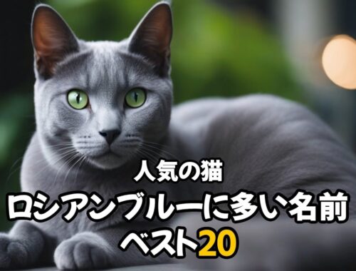 【人気の猫】ロシアンブルーに多い名前ベスト20