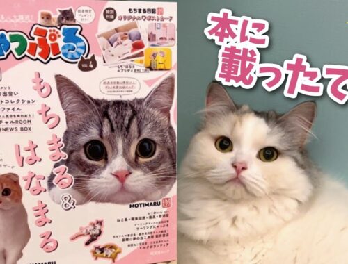 雑誌に掲載されたのに何故か不満そうな猫【関西弁でしゃべる猫】【猫アテレコ】
