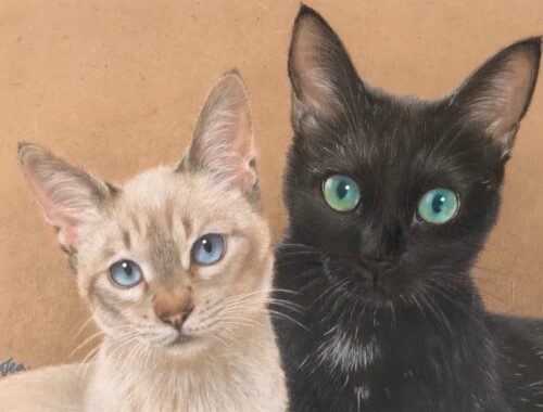 色鉛筆画【黒猫&シャムミックス】の描き方