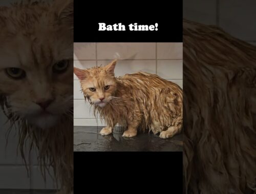Buster Takes a Bath!