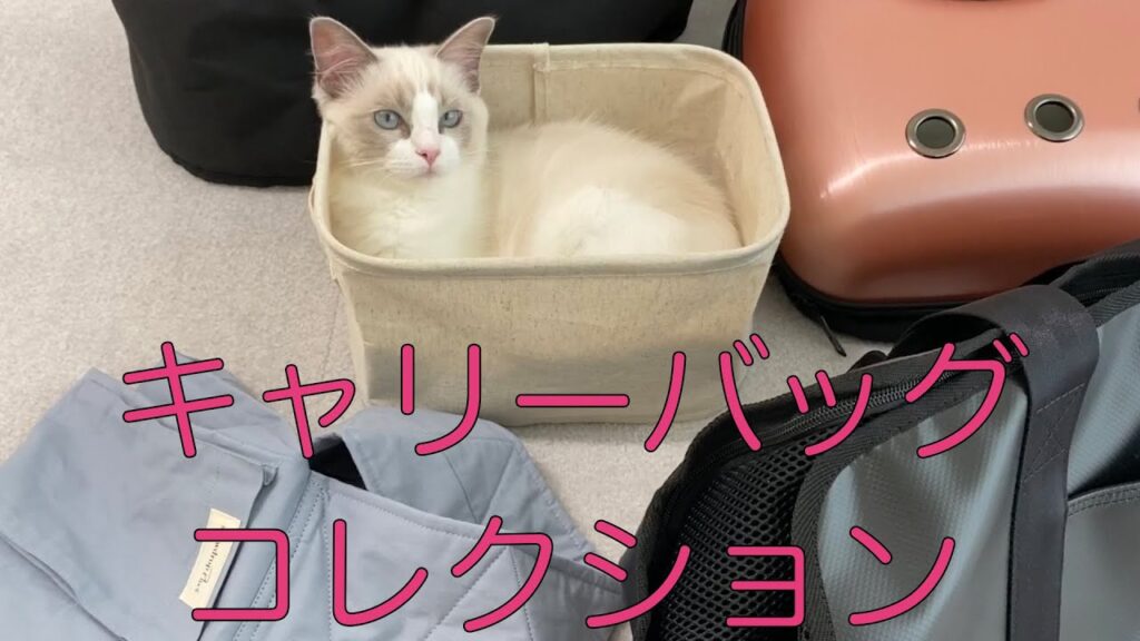猫用キャリーバッグコレクション