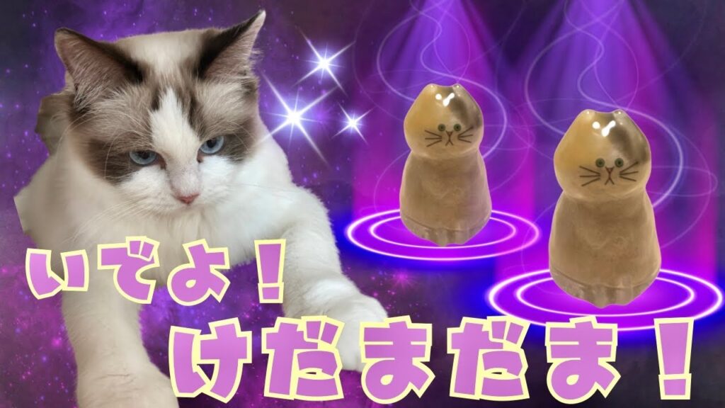 【うちの子のけだまだま】“ちゅーる独占計画”始動!ナナのしもべ、ついに覚醒 | あたち日記#16 【うちの子のけだまだま】“ちゅーる独占計画”始動!ナナのしもべ、ついに覚醒 | あたち日記#16