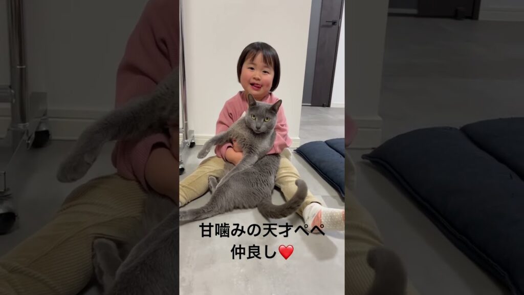 甘噛みの天才ぺぺ #cat #ロシアンブルー #猫との暮らし#甘噛み #ねこ動画
