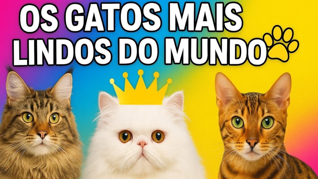 🐾 As 10 Raças de Gatos Mais Lindas do Mundo | Qual é a Sua Favorita? 🐾 As 10 Raças de Gatos Mais Lindas do Mundo | Qual é a Sua Favorita?