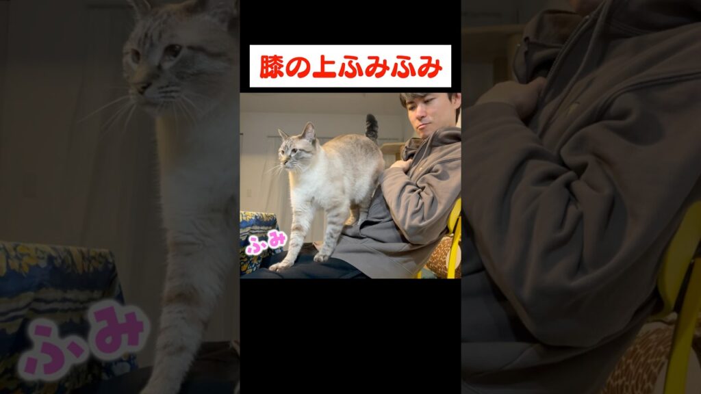 地味にめっちゃ嬉しいやつ