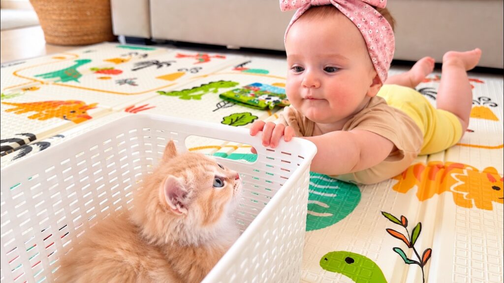 Baby Meets a Tiny Kitten for the First Time Baby Meets a Tiny Kitten for the First Time